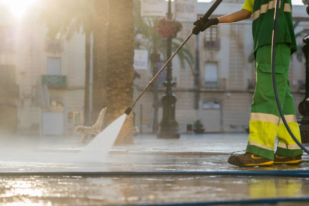 Best Solar Panel Cleaning  in Haines City, FL